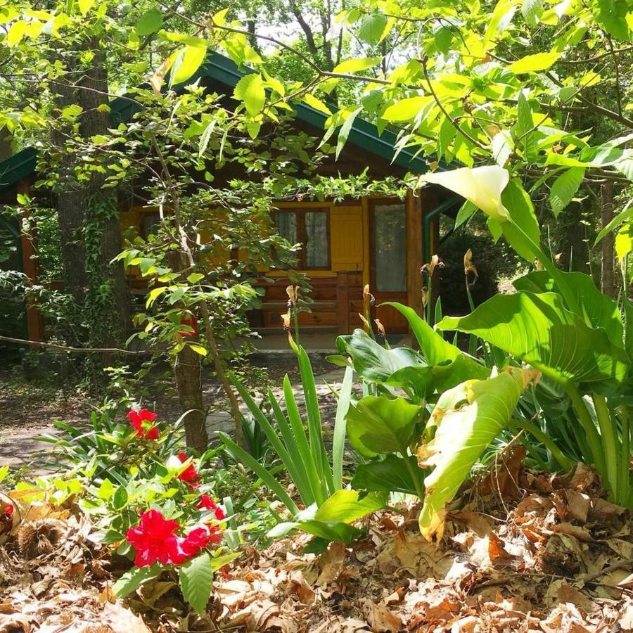 Chalet Etna Milo Exterior foto
